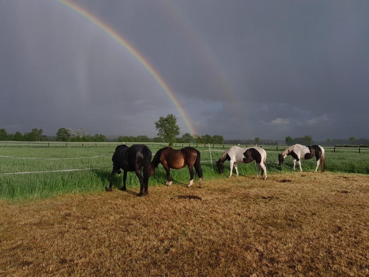 Ferienhof Wikner Bruchhausen-Vilsen Buitenkant foto